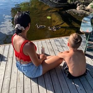 Meet your Posher, Taurie